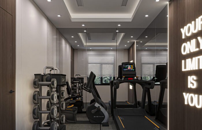 Home gym with mirrors and carefully arranged exercise equipment, view 1