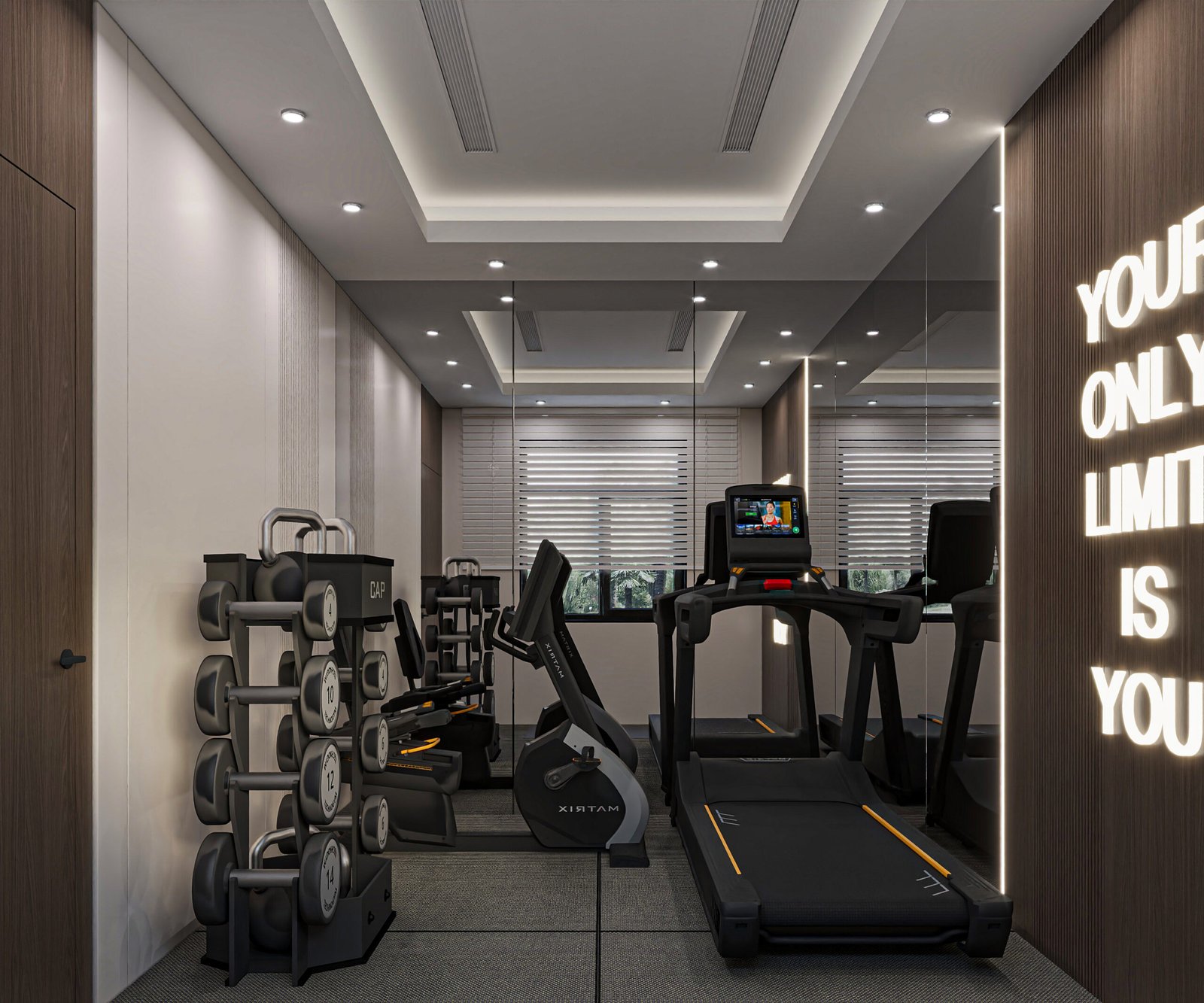 Home gym with mirrors and carefully arranged exercise equipment, view 1