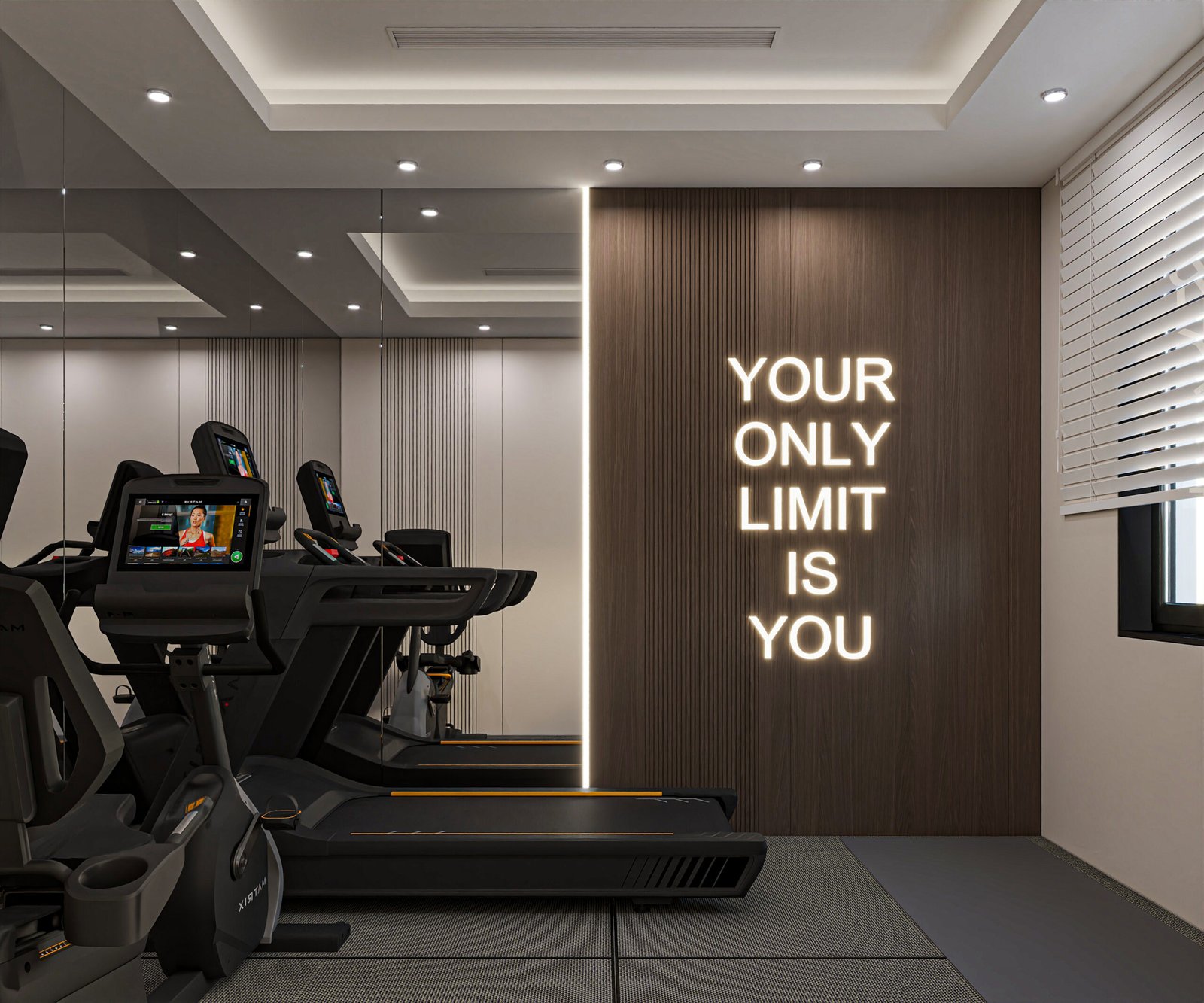 Home gym with mirrors and carefully arranged exercise equipment, view 2