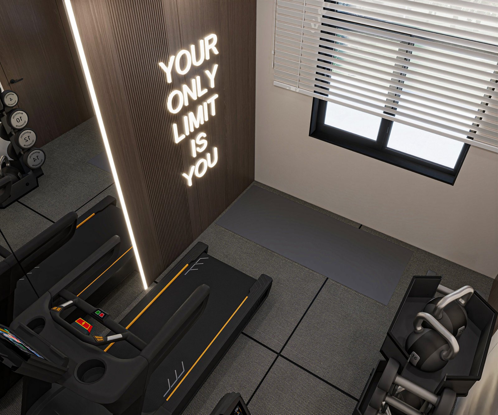 Home gym with mirrors and carefully arranged exercise equipment, view 3